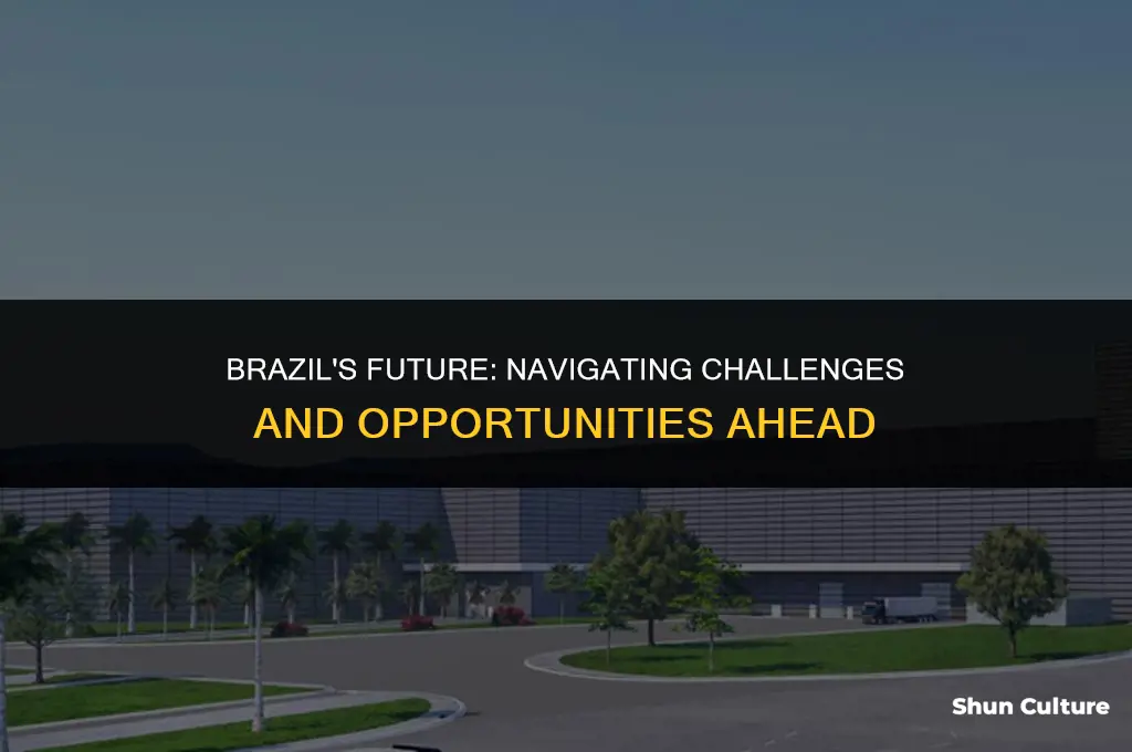 how will brazil fare as a nation going forward