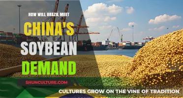 Brazil's Soybean Strategy: Meeting China's Growing Demand Sustainably