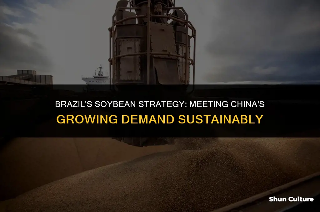 how will brazil meet china