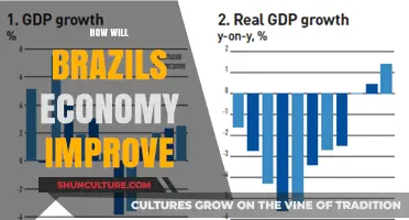 Revitalizing Brazil: A Pathway to Economic Prosperity and Growth