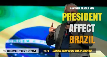 Brazil's New Leader: Impacts on Economy, Politics, and Society