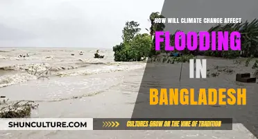 Climate Change's Impact: Worsening Flood Risks in Bangladesh
