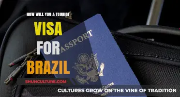 Step-by-Step Guide to Obtaining a Tourist Visa for Brazil