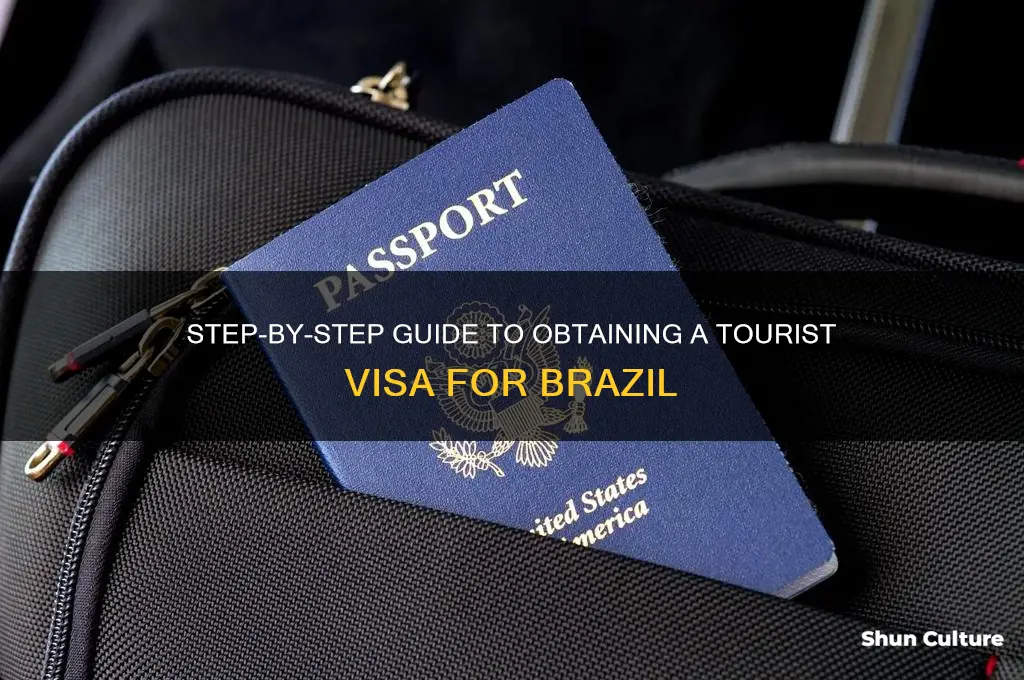 how will you a tourist visa for brazil