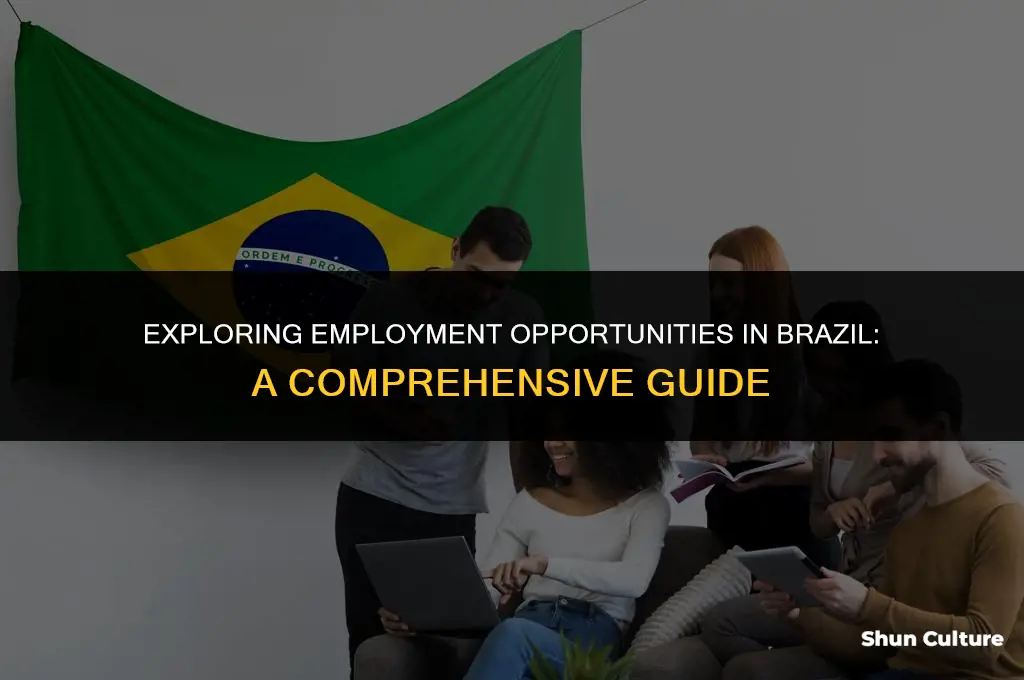 how work in brazil