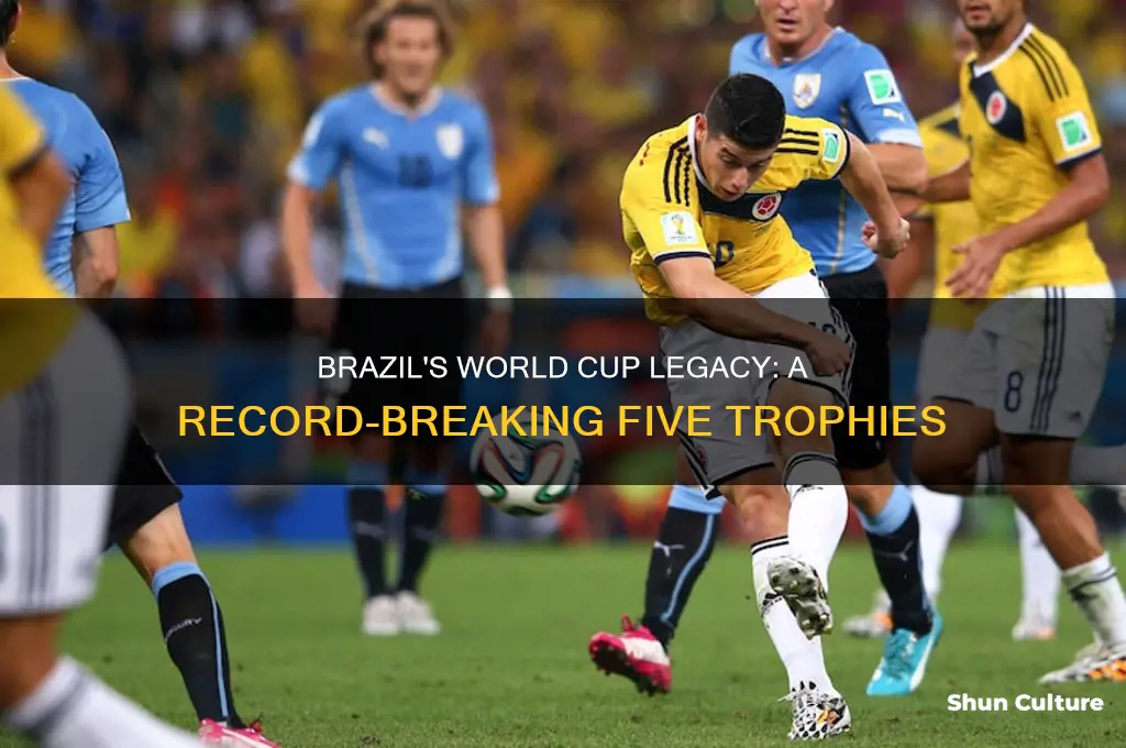 how world cups does brazil have
