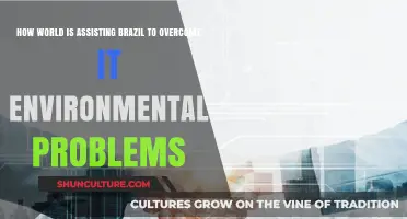 Global Unity: How the World Supports Brazil's Environmental Recovery
