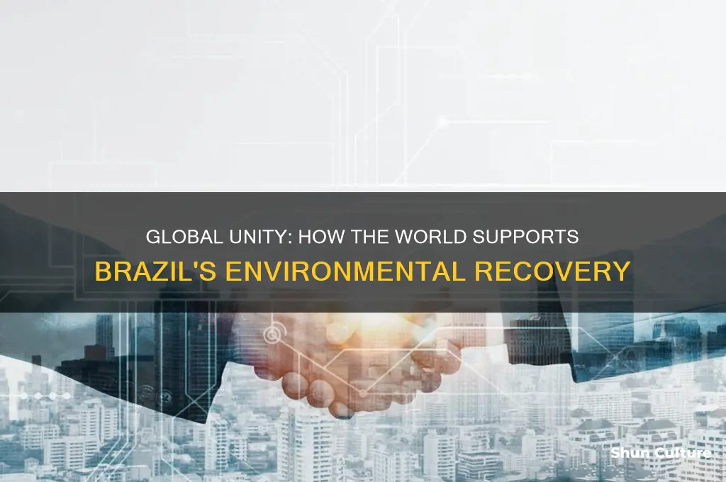 how world is assisting brazil to overcome it environmental problems