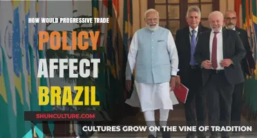 Progressive Trade Policy: Potential Impacts on Brazil's Economy and Society