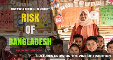 Assessing Bangladesh's Country Risk: Opportunities, Challenges, and Investment Outlook