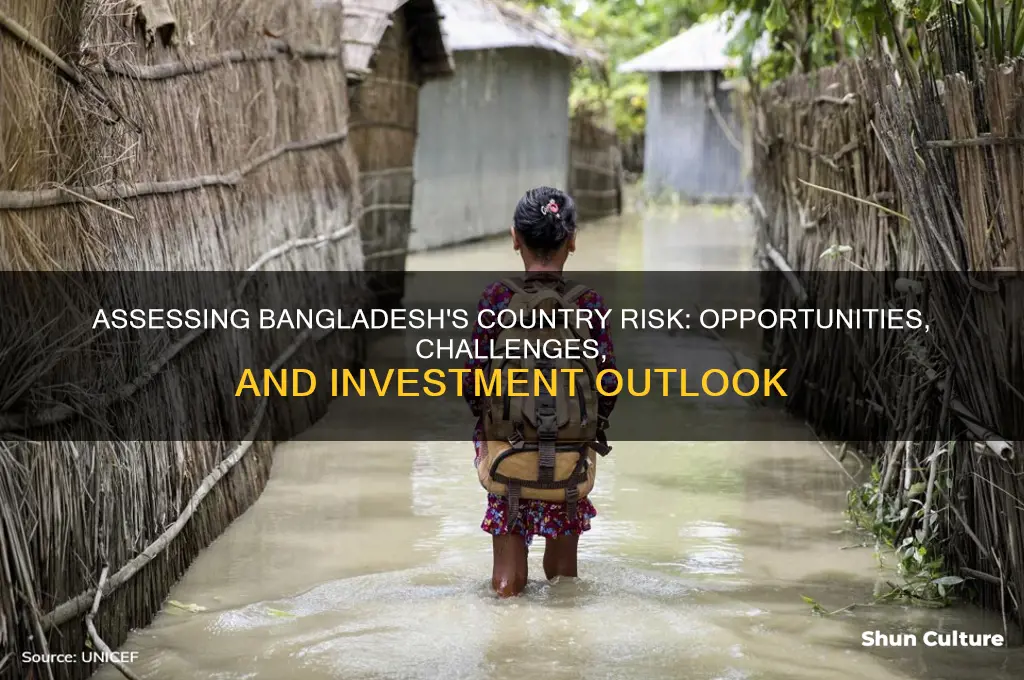 how would you rate the country risk of bangladesh