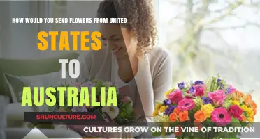 Sending Flowers Overseas: US to Australia