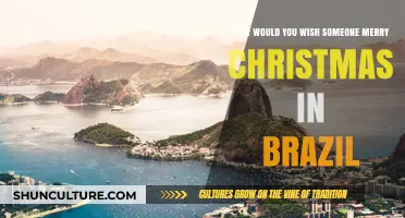 Feliz Natal! How to Wish Someone Merry Christmas in Brazil