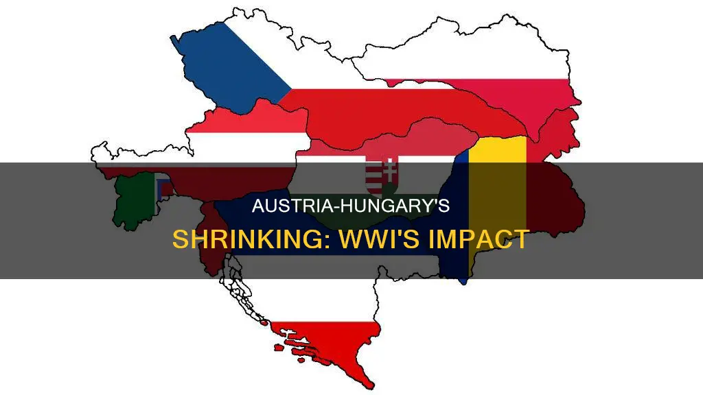 how ww1 affected austria hungary