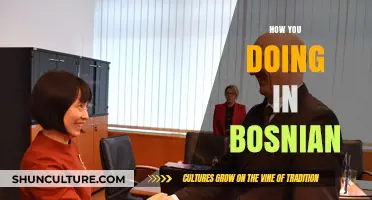 Kako si danas? Mastering Bosnian Greetings and Everyday Conversations