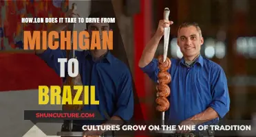 Road Trip from Michigan to Brazil: Duration and Essentials