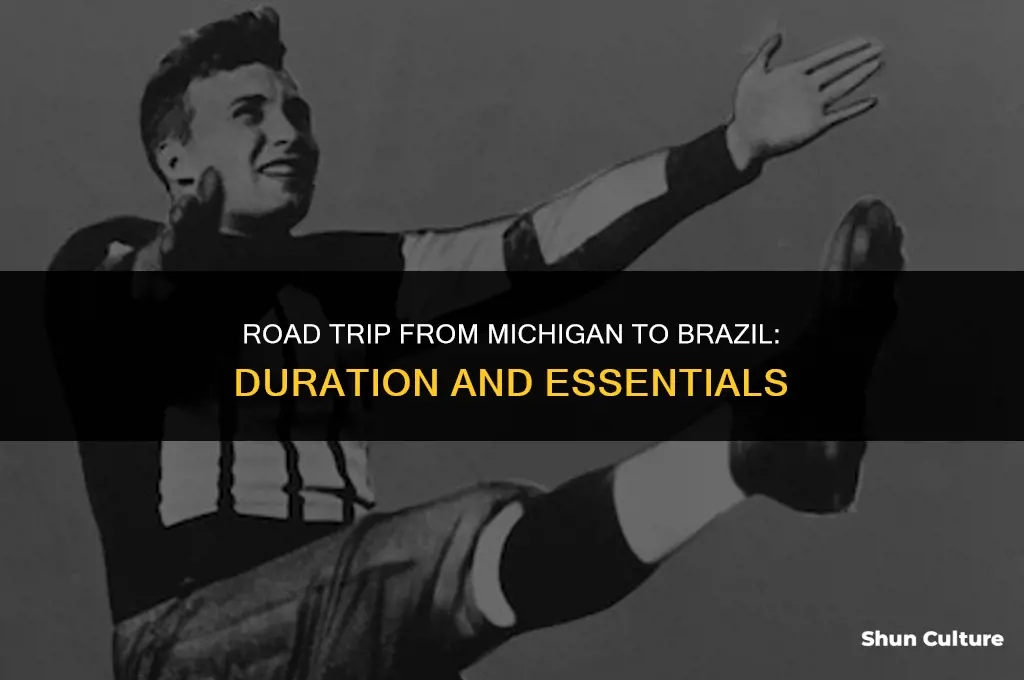 how.lon does it take to drive from michigan to brazil