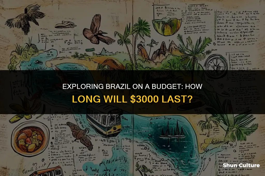 how.long will 3000 usd last me in brazil