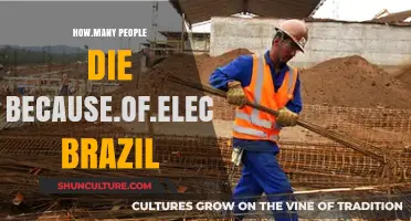 Brazil's Electrical Hazards: Understanding Fatalities and Prevention Measures