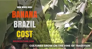 Exploring the Price of Banana Brazil: A Comprehensive Cost Guide
