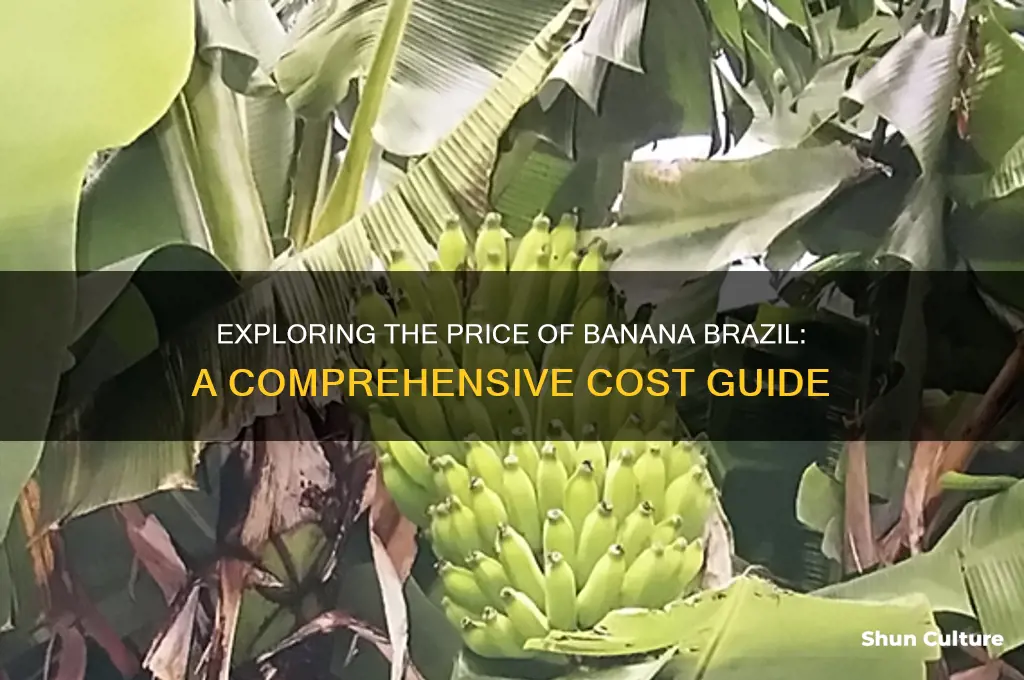 how.much does banana brazil cost