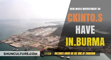 Exploring the Extent of Chinese Investments in Burma
