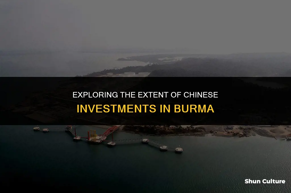 how.mucu inverstment do ckinto.s have in.burma