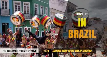 Exploring the Vibrant Tapestry of Life in Brazil