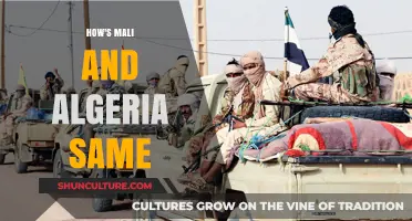 Shared Cultures, Borders, and Histories: Mali and Algeria's Striking Similarities