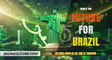Charting Brazil's Path Forward: Opportunities and Challenges Ahead