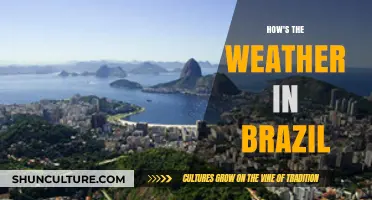 Exploring Brazil's Climate: A Comprehensive Guide to the Weather