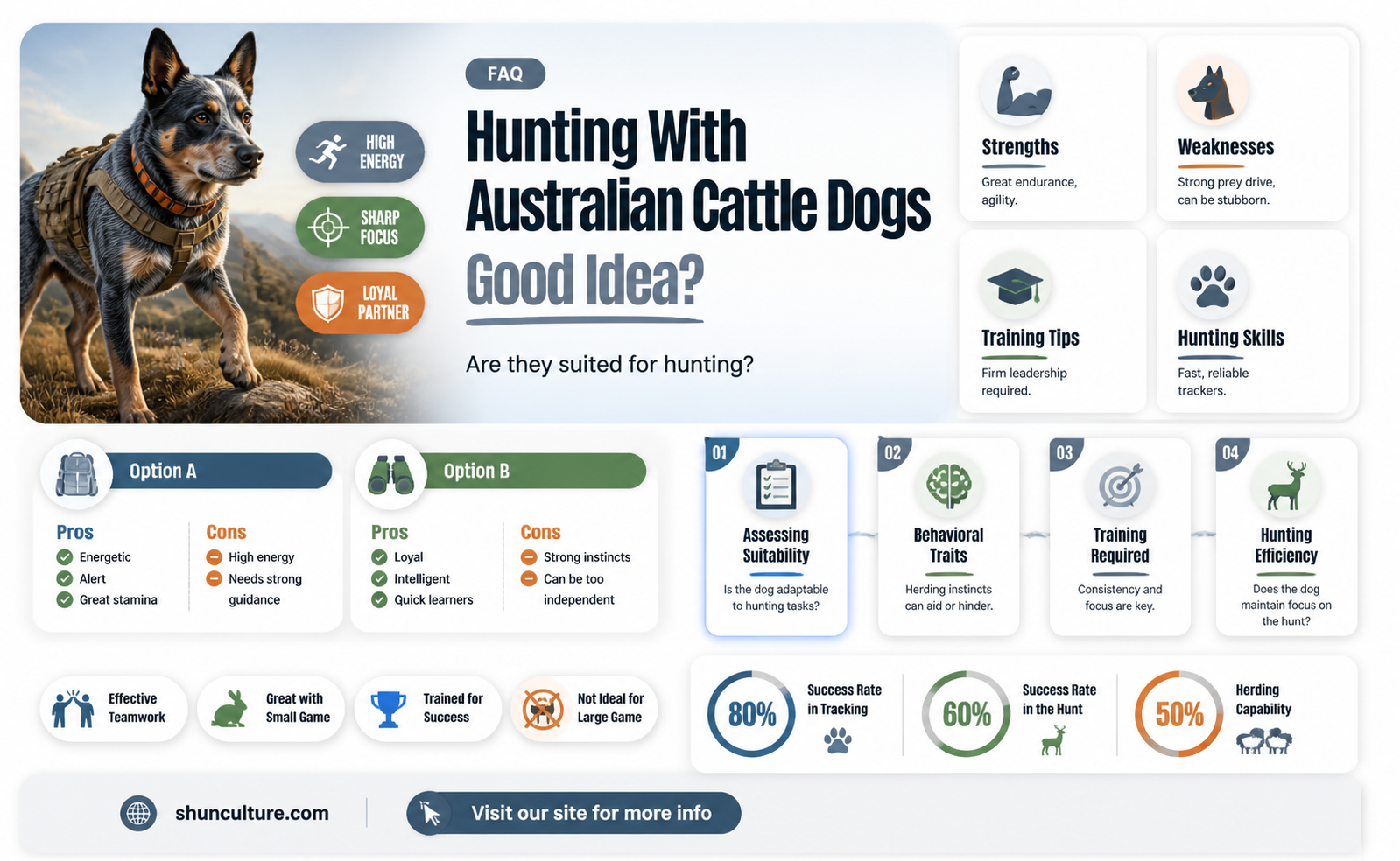 are australian cattle dogs good for hunting