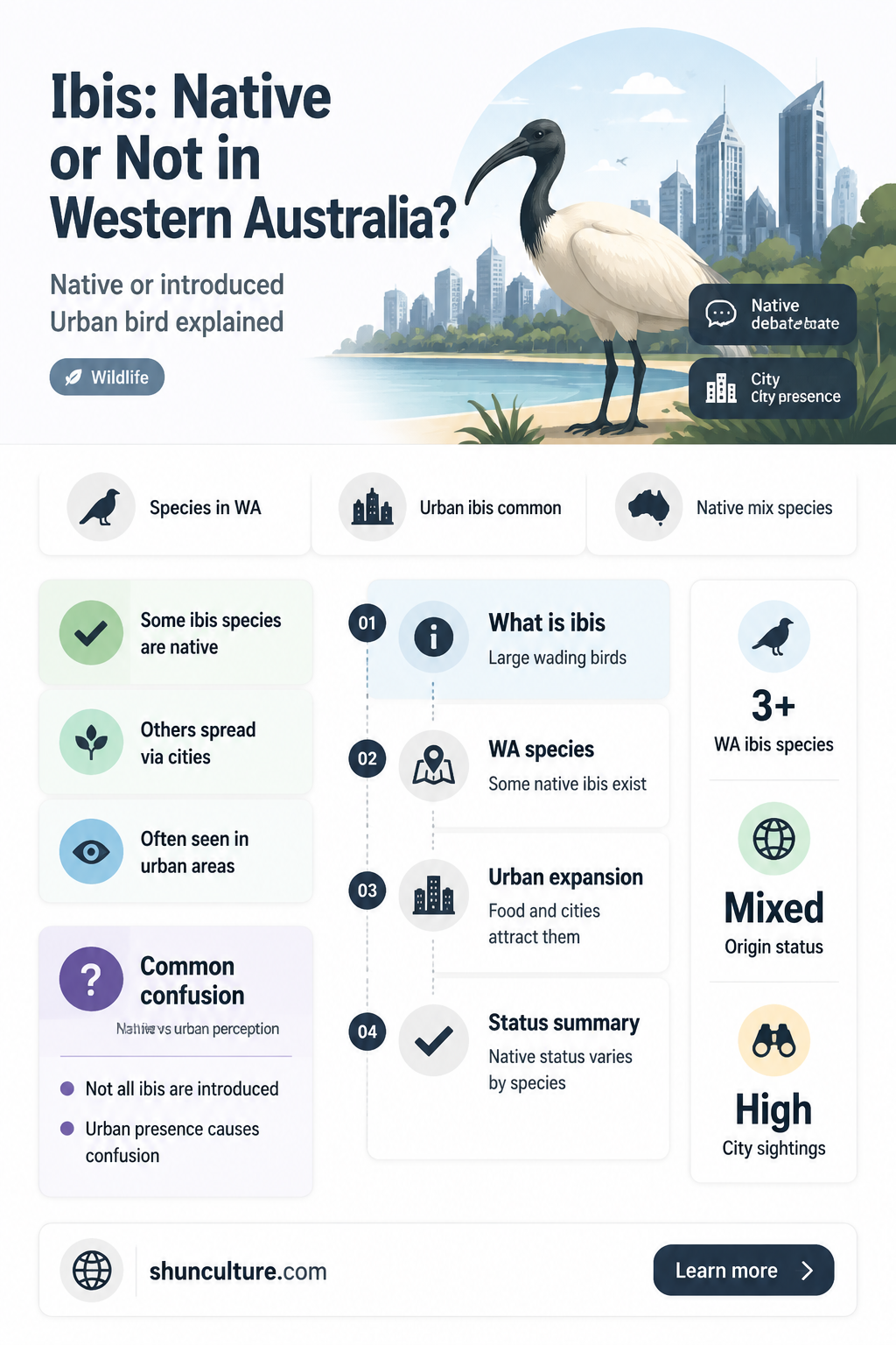 are ibis native to western australia