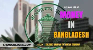 Is $100 Significant in Bangladesh? Exploring Its Real Value and Impact