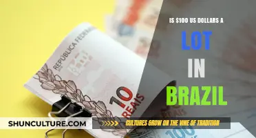 Exploring the Value of $100 USD in Brazil: A Local's Perspective