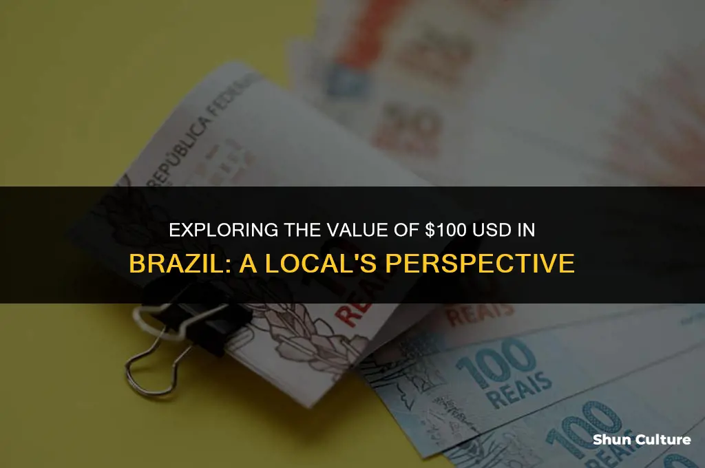 is $100 us dollars a lot in brazil