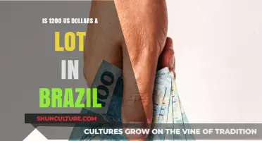 Exploring the Purchasing Power of $1200 in Brazil: A Local's Perspective