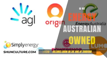 Who Owns 1st Energy in Australia?
