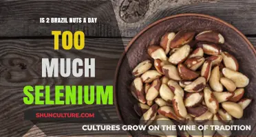 Brazil Nuts Daily: Balancing Selenium Intake for Optimal Health