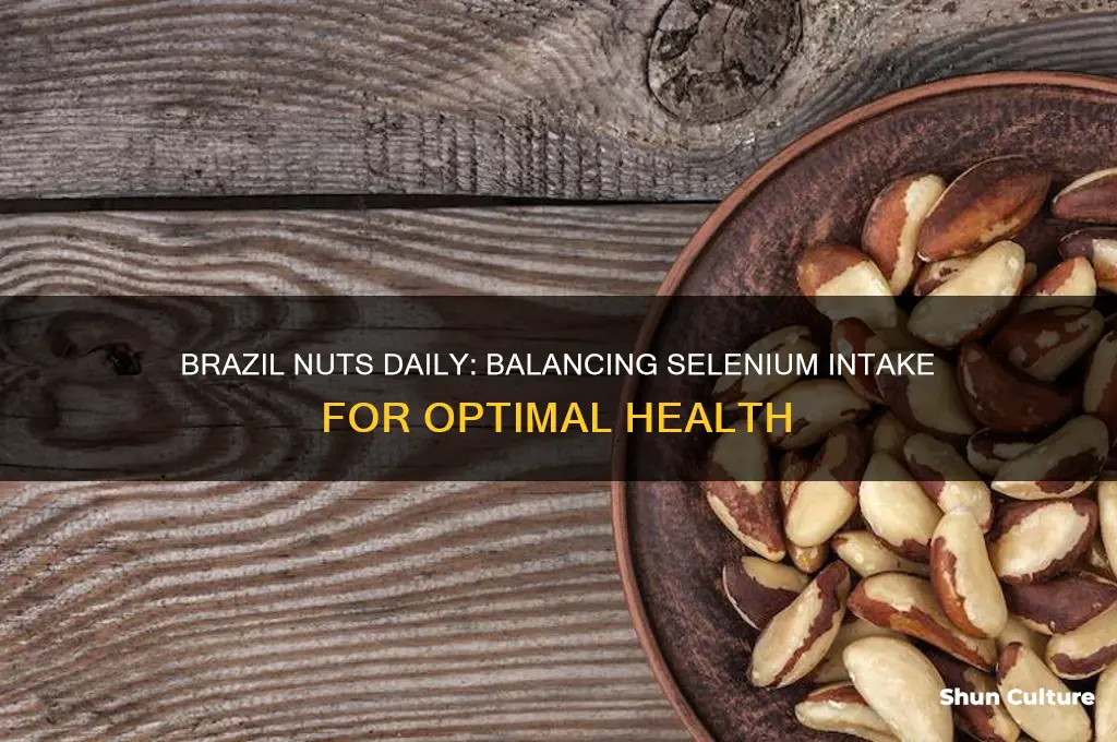 is 2 brazil nuts a day too much selenium