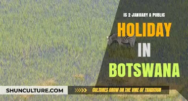 Is January 2nd a Public Holiday in Botswana?
