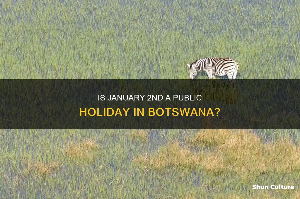 is 2 january a public holiday in botswana