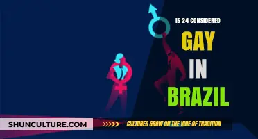 Exploring Sexual Orientation Myths: Is 24 Considered Gay in Brazil?