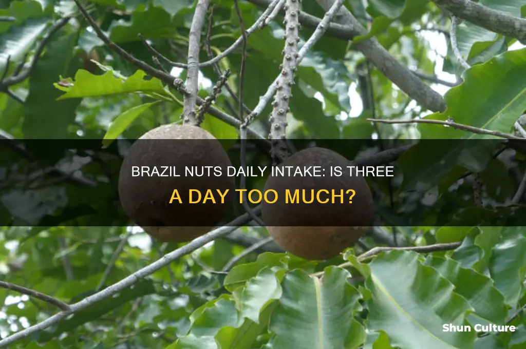 is 3 brazil nuts a day too much