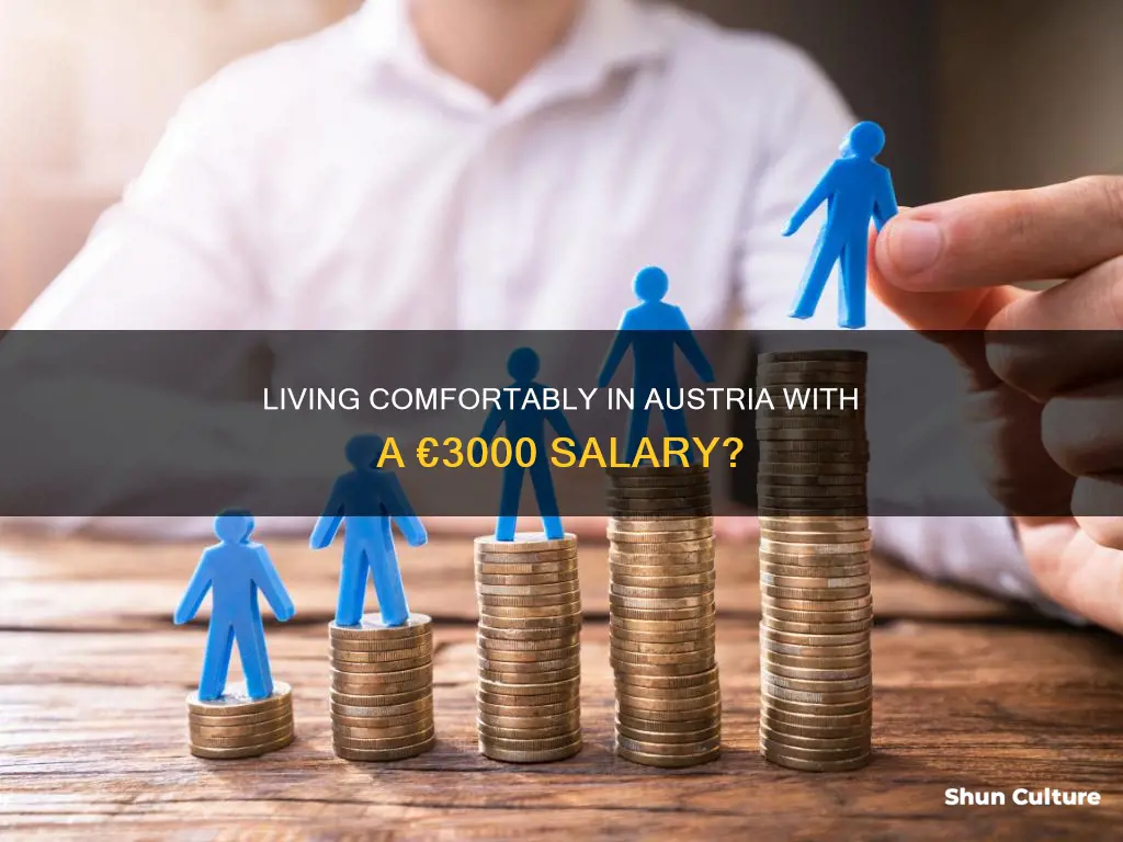 is 3000 euro a good salary in austria