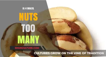 Brazil Nuts: How Many Are Too Many for Daily Consumption?