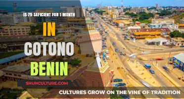 Exploring the Cost of Living in Cotonou, Benin: Is 75 Enough for a Month?