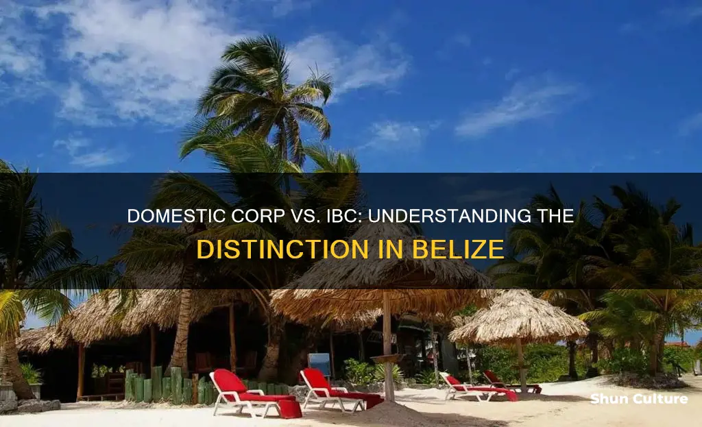 is a belizean domestic corp the same as an ibc