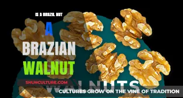 Brazil Nut vs. Brazilian Walnut: Unraveling the Nutty Confusion