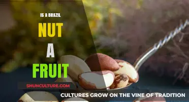 Is a Brazil Nut a Fruit? Unraveling the Botanical Mystery
